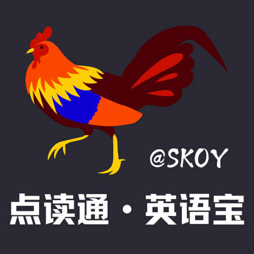 SKOY.FUN